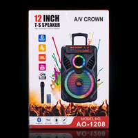 A/V Crown AO-1208 12" Rechargeable