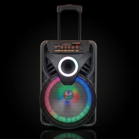 A/V Crown AO-1208 12" Rechargeable