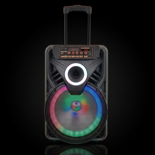 A/V Crown AO-1208 12" Rechargeable