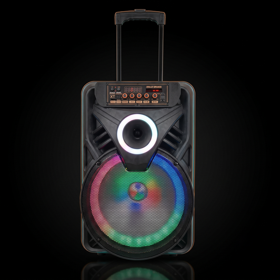 A/V Crown AO-1208 12" Rechargeable