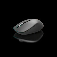 HP S1000 Plus Wireless Mouse with Adjustable DPI and Ergonomic Design