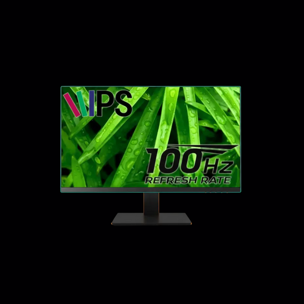 Solid H2391P 24" FHD IPS Monitor – 100Hz, Built-in Speakers